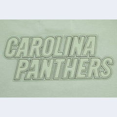 Carolina Panthers Pro Standard Women's Oversized Cropped Neutral Pullover Sweatshirt Light Green - NFL