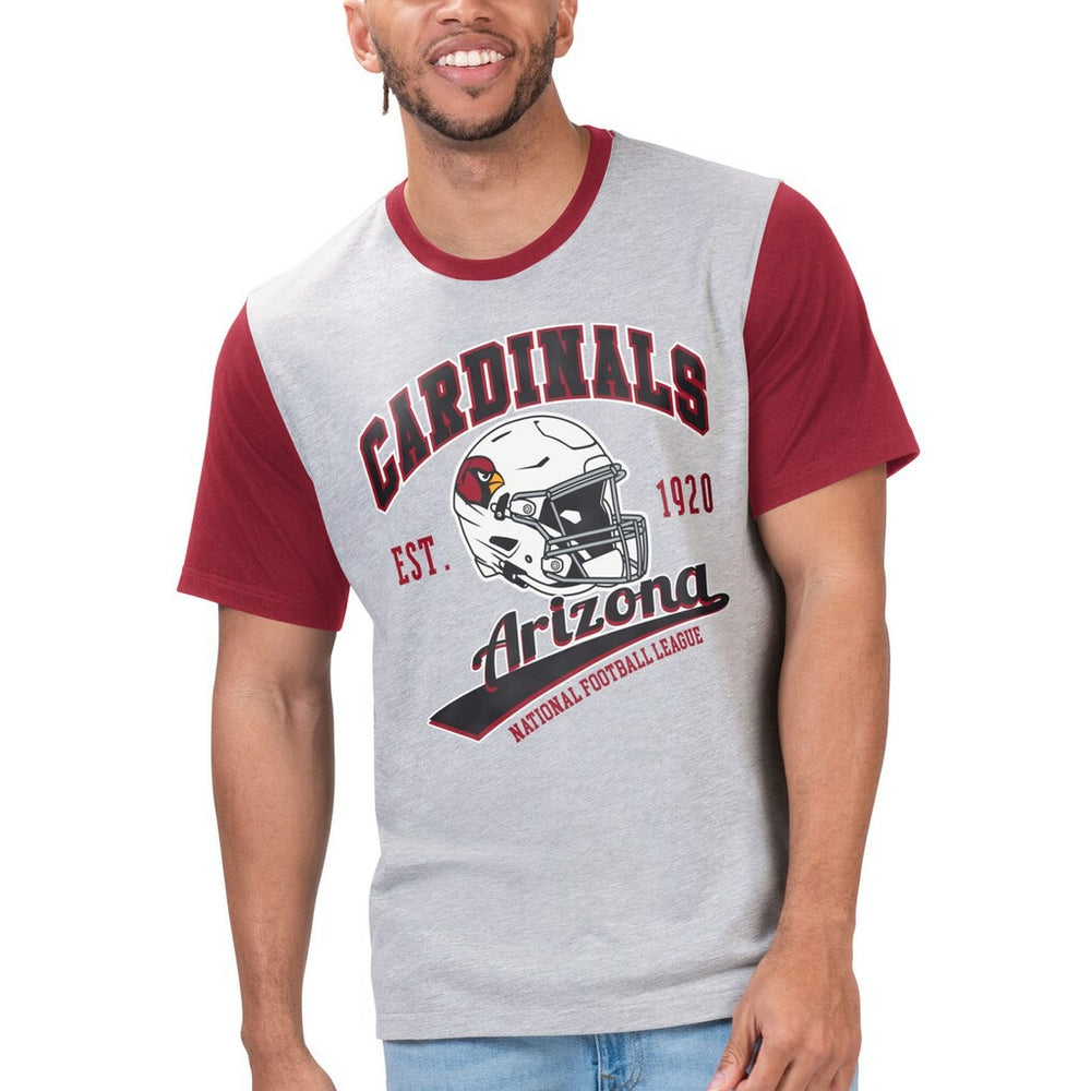Arizona Cardinals G-III Sports by Carl Banks Black Label T-Shirt Gray - NFL