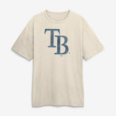 Tampa Bay Rays Fanatics Stadium Slub T-Shirt for sale