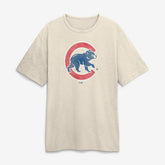 Chicago Cubs Fanatics Stadium Slub T-Shirt Sale