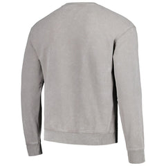 Carolina Panthers The Wild Collective Unisex Distressed Pullover Sweatshirt Gray - NFL