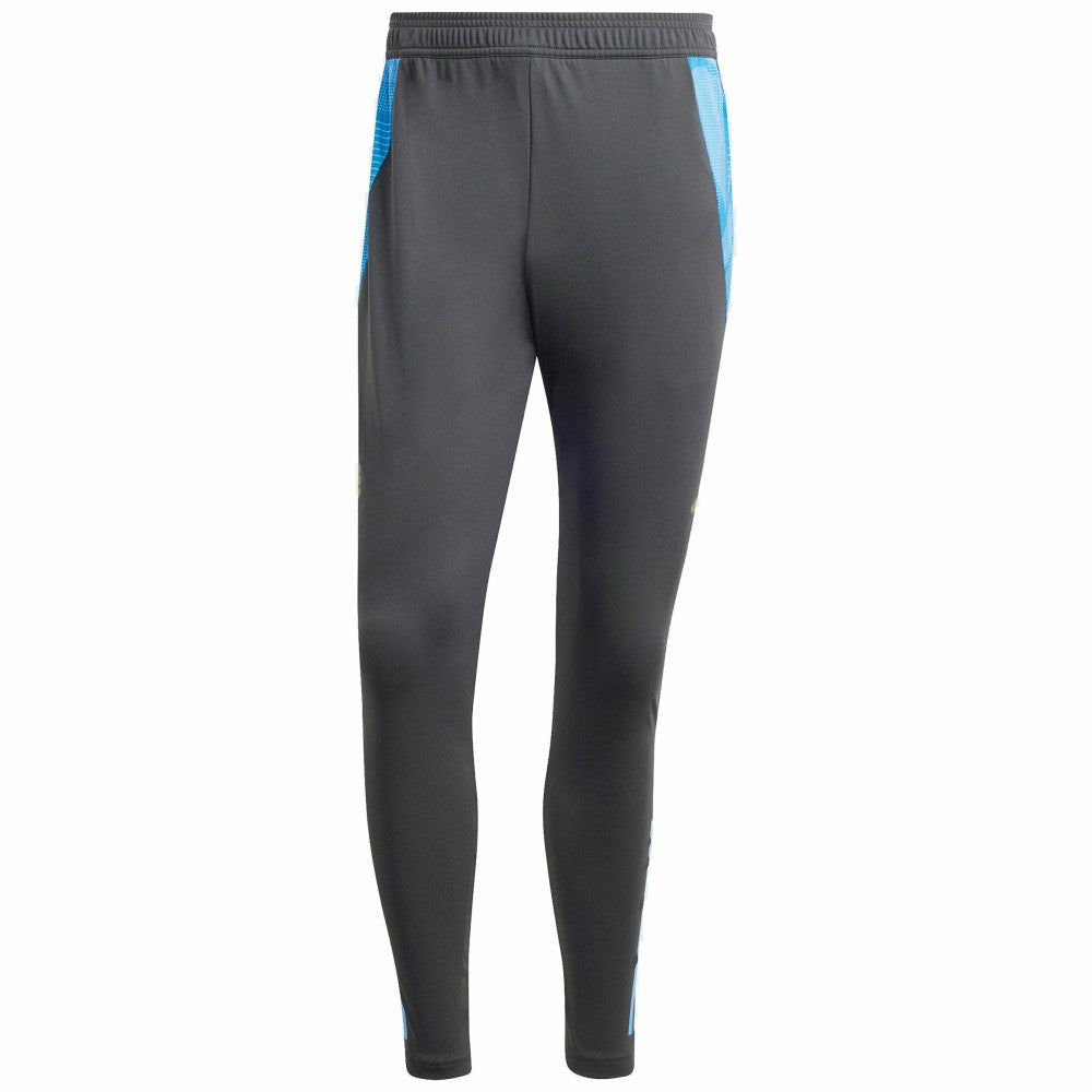 Adidas Argentina National Team 2024 AEROREADY Training Pants - Gray