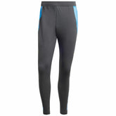 Adidas Argentina National Team 2024 AEROREADY Training Pants - Gray