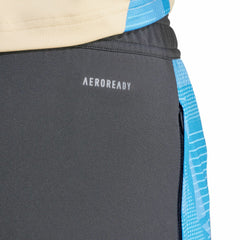 Adidas Argentina National Team 2024 AEROREADY Training Pants - Gray