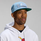 St. Louis Cardinals Fanatics Twinbill Snapback Hat Online
