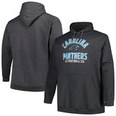 Carolina Panthers Big & Tall Pullover Hoodie Heather Charcoal - Fanatics