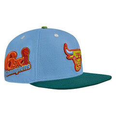 NBA - Chicago Bulls Pro Standard Retro Program 2-Tone Snapback Hat - Light Blue/Green