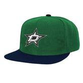 Dallas Stars - Mitchell & Ness Core Team Ground 2.0 Snapback Hat Kelly Green