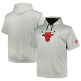 Fanatics - Chicago Bulls Big & Tall Logo Pullover Hoodie - Silver