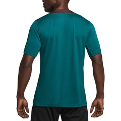 Nike Paris Saint-Germain 2024/25 Strike Performance Top - Teal