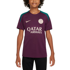Nike Paris Saint-Germain Youth 2024/25 Strike Training Performance Top - Burgundy