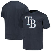 Tampa Bay Rays Profile Big & Tall Weathered Logo T-Shirt for sale