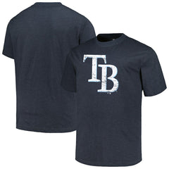 Tampa Bay Rays Profile Big & Tall Weathered Logo T-Shirt for sale