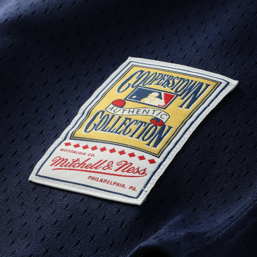 Carlton Fisk Chicago White Sox Mitchell & Ness Authentic Batting Practice Jersey - Navy | MLB Jerseys