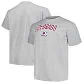Colorado Avalanche - Profile Big & Tall Arch Over Logo T-Shirt Heather Gray
