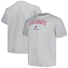 Colorado Avalanche - Profile Big & Tall Arch Over Logo T-Shirt Heather Gray