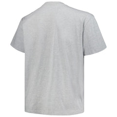 Colorado Avalanche - Profile Big & Tall Arch Over Logo T-Shirt Heather Gray