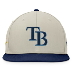 Tampa Bay Rays Fanatics Team Two-Tone Snapback Hat Online