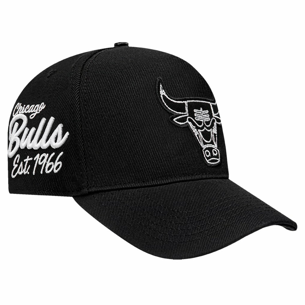 NBA - Chicago Bulls Pro Standard Paint the City Pinch Front Snapback Hat - Black