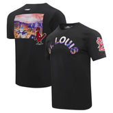 St. Louis Cardinals Pro Standard Cityscape T-Shirt Online