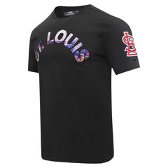 St. Louis Cardinals Pro Standard Cityscape T-Shirt Online