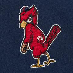 St. Louis Cardinals Mitchell & Ness Cooperstown Collection Legendary Raglan Slub Henley Three-Quarter Sleeve T-Shirt Near Me