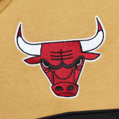 Mitchell & Ness - Chicago Bulls Head Coach Pullover Hoodie - Red/Gold