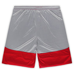 San Francisco 49ers Big & Tall Team Logo Shorts Scarlet - Fanatics