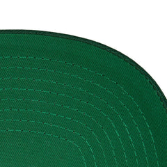 Minnesota Wild - Mitchell & Ness Core Team Ground Pro Adjustable Hat Green