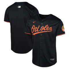 Baltimore Orioles Nike Youth Alternate Limited Jersey Near Me
