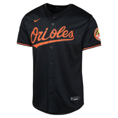 Baltimore Orioles Nike Youth Alternate Limited Jersey Near Me
