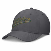 Athletics Nike Swoosh Performance Flex Hat discount
