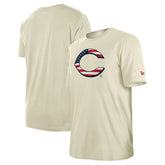 Cincinnati Reds New Era Americana Flag Fill T-Shirt discount