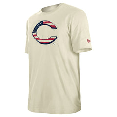 Cincinnati Reds New Era Americana Flag Fill T-Shirt discount