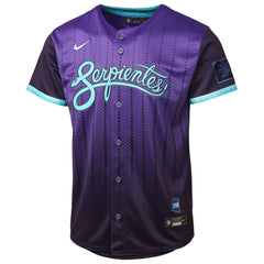 Arizona Diamondbacks Nike Youth 2025 City Connect Limited Jersey for sale