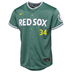 David Ortiz Boston Red Sox Nike Youth 2025 City Connect Limited Retired Player Jersey On Sale