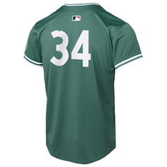 David Ortiz Boston Red Sox Nike Youth 2025 City Connect Limited Retired Player Jersey On Sale