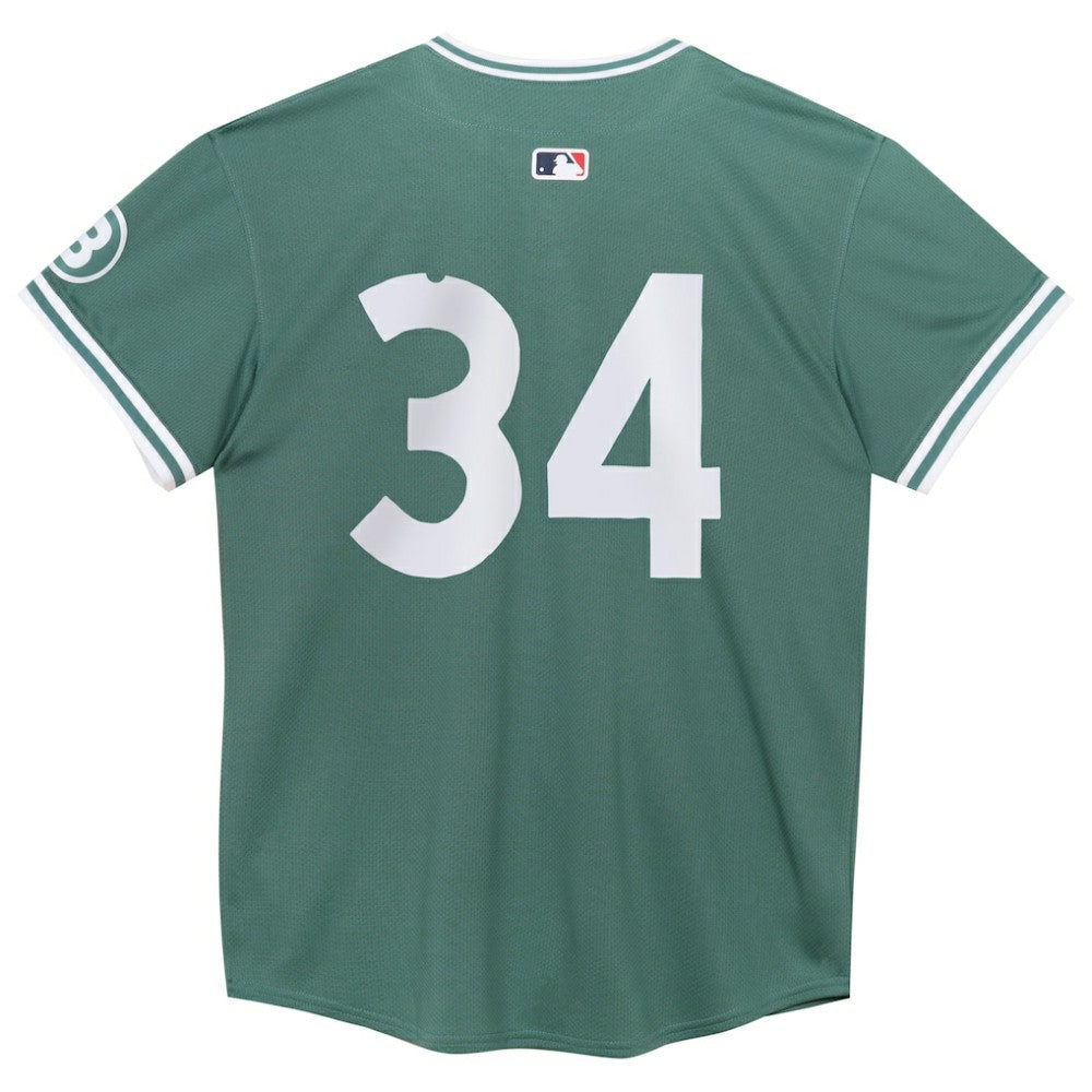 David Ortiz Boston Red Sox Nike Preschool 2025 City Connect Limited Retired Player Jersey - Green | MLB Jerseys