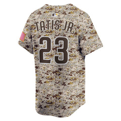Fernando Tatis Jr. San Diego Padres Nike Alternate 2 Limited Jersey On Sale