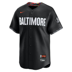 Adley Rutschman Baltimore Orioles Nike City Connect Limited Jersey discount