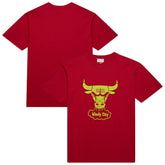 Mitchell & Ness - Chicago Bulls Hardwood Classics Neon Nights Premium T-Shirt - Red