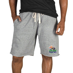 Baltimore Ravens Concepts Sport Mainstream Tri-Blend Shorts Gray - NFL