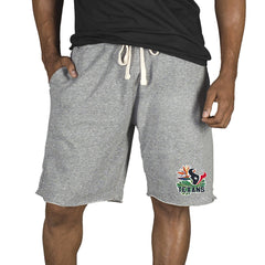 Houston Texans Concepts Sport Mainstream Tri-Blend Shorts Gray - NFL