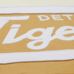 Detroit Tigers Mitchell & Ness Head Coach Pullover Hoodie Near Me