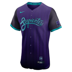 Arizona Diamondbacks Nike 2025 City Connect Elite Jersey Online