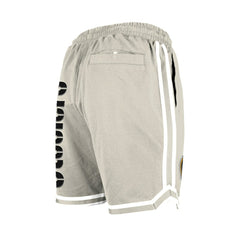 Pittsburgh Steelers New Era Stone Multi Patch Shorts Light Beige - NFL