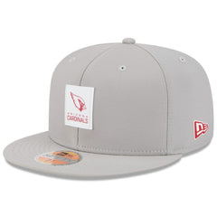 Arizona Cardinals New Era 2025 Sideline 59FIFTY Fitted Hat Gray - NFL