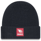 Arizona Cardinals New Era 2025 Sideline Cold Weather Cuffed Knit Hat Charcoal - NFL