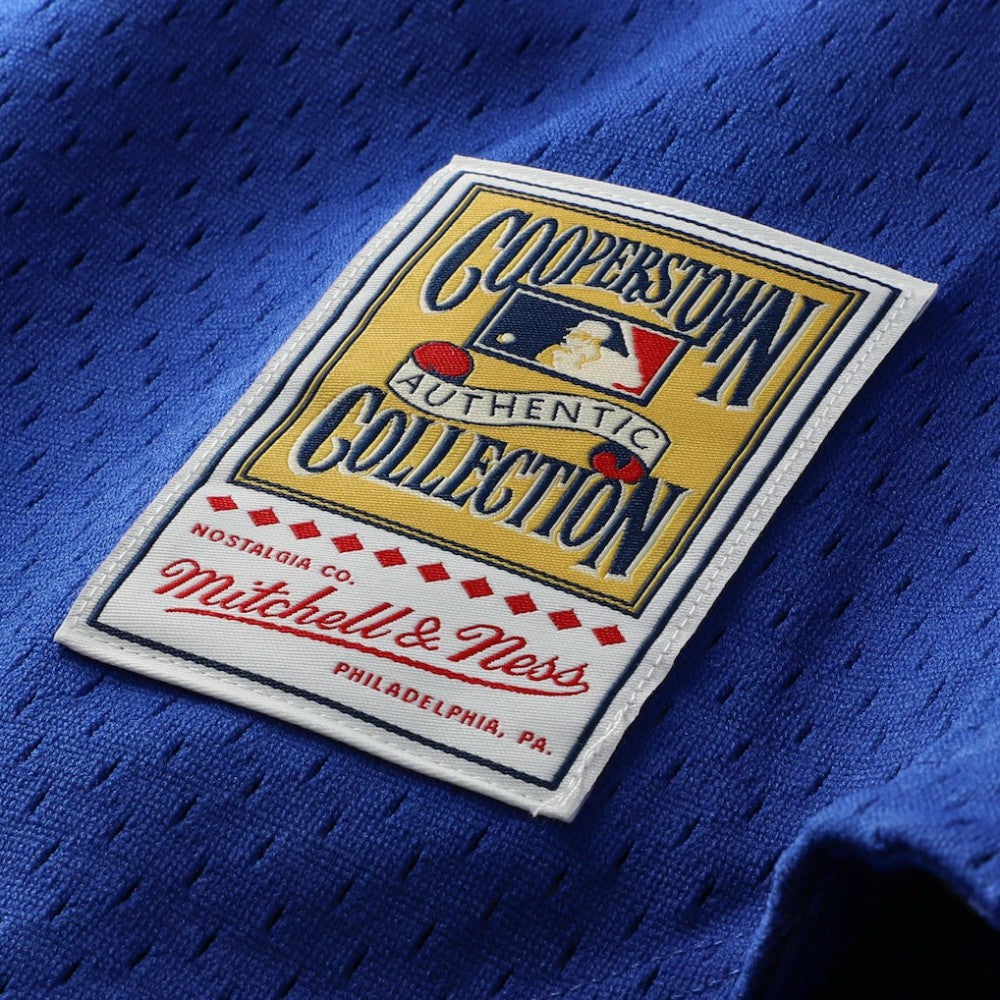 Ryne Sandberg Chicago Cubs Mitchell & Ness Cooperstown Collection 1997 Mesh Batting Practice Button-Up Jersey - Royal | MLB Jerseys