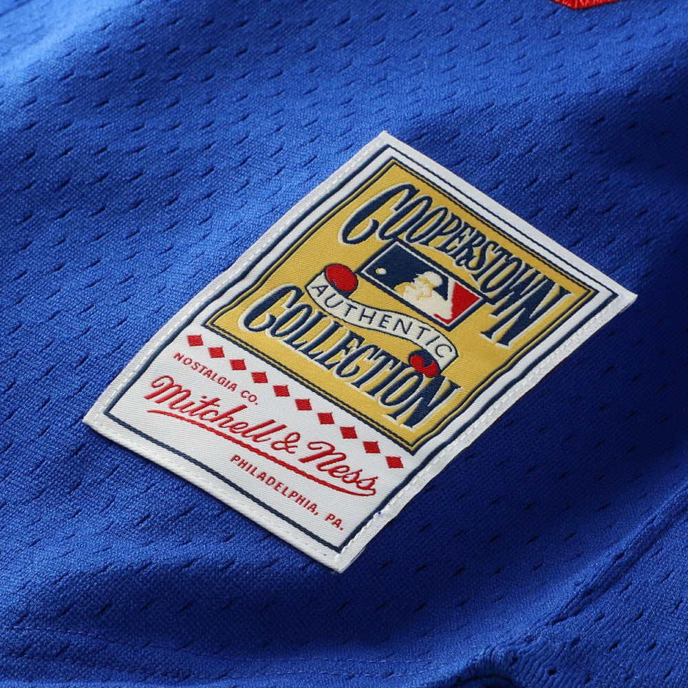 Hideo Nomo Los Angeles Dodgers Mitchell & Ness Cooperstown Collection Mesh Batting Practice Button-Up Jersey - Royal | MLB Jerseys